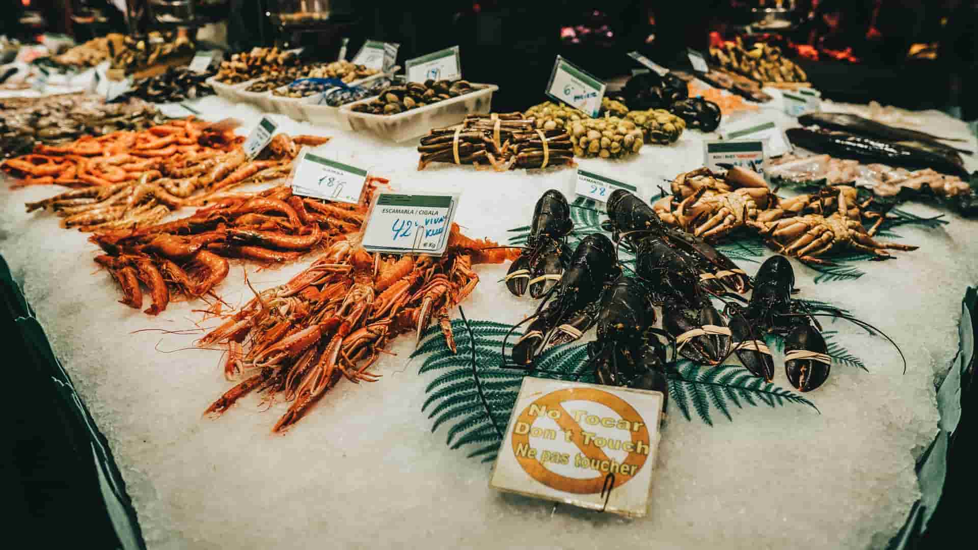 fresh fish on fishmarket