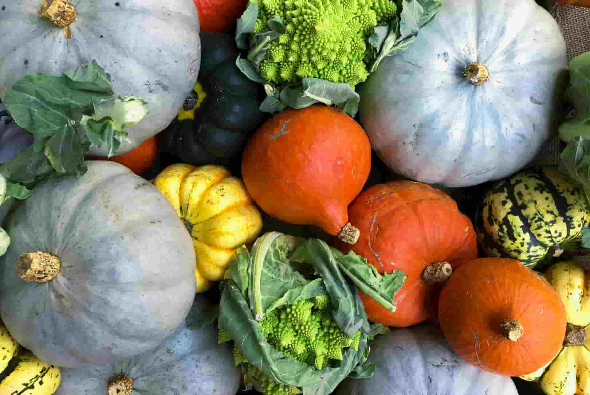 variety of vegetables